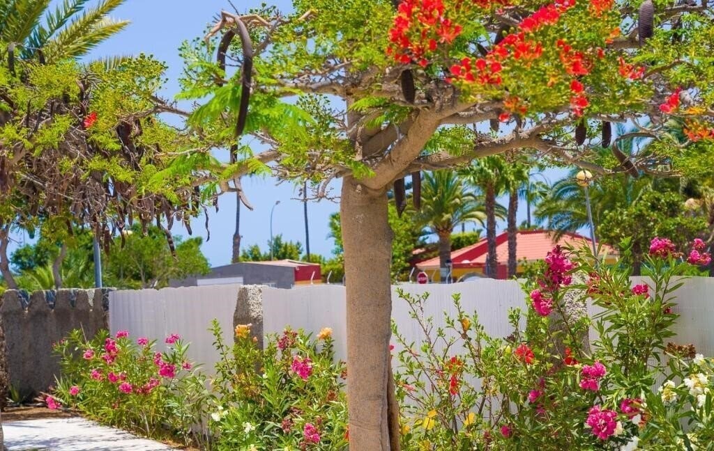 Zdjęcie Bungalows Las Almenas 2*