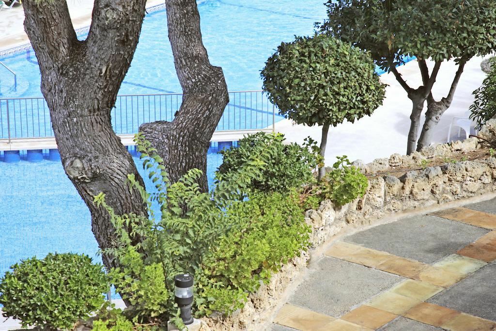 Картинка Casablanka mallorka 3*