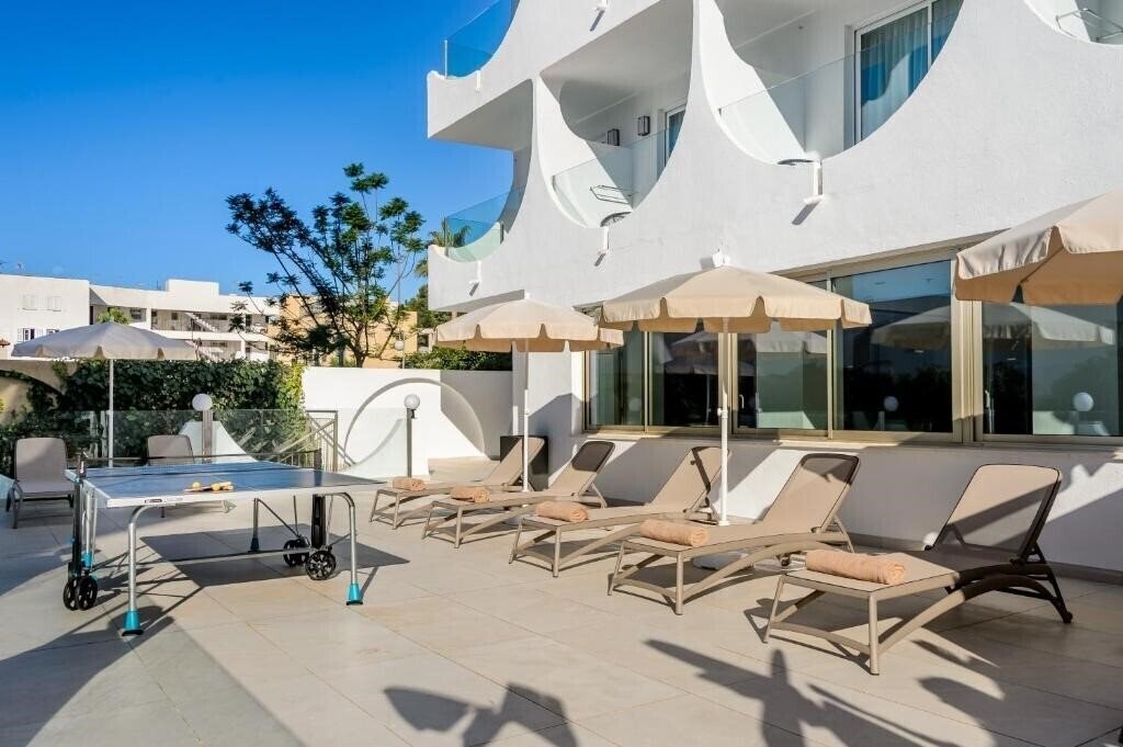 Obraz Vibra Palma Cactus 3*