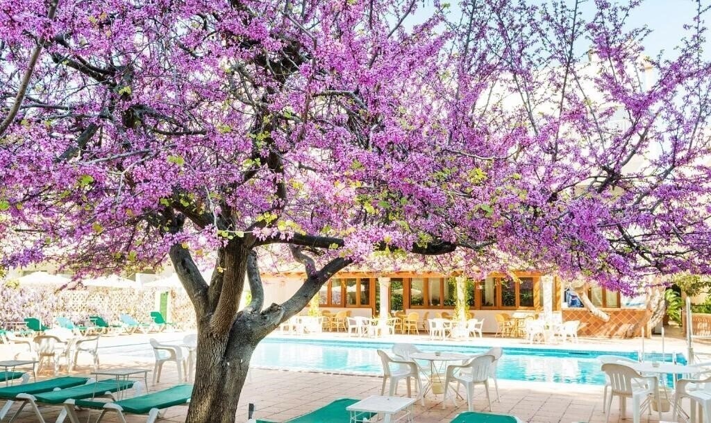 Готель Gaya Hotel 3*