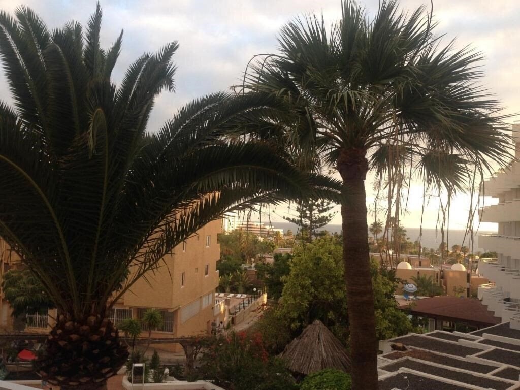 Фотографія Ponderosa Aparthotel 3*