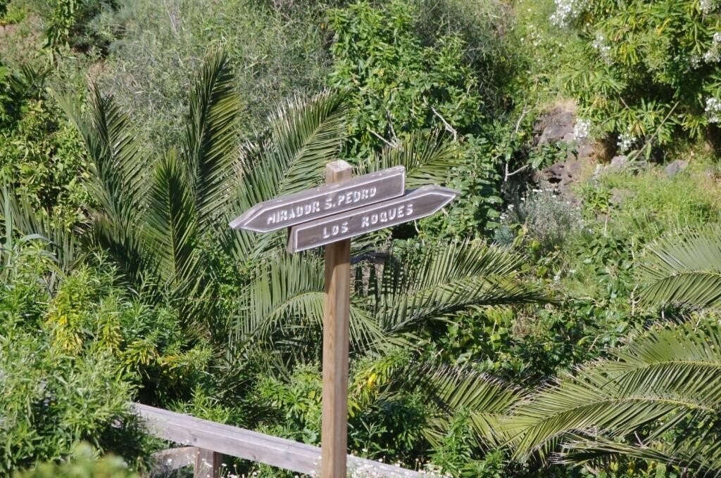 Obraz Playa De Los Roques 4*