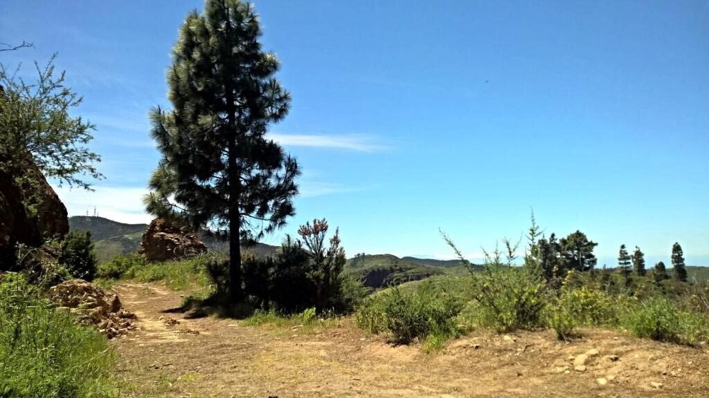 Фотографія Casa Regina Tenerife 3*