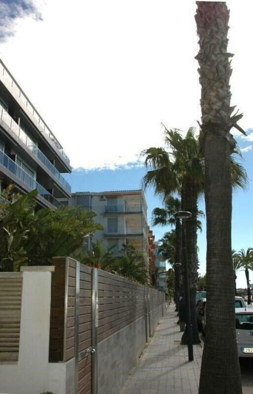 Obraz Palmas 7 Apt 3*