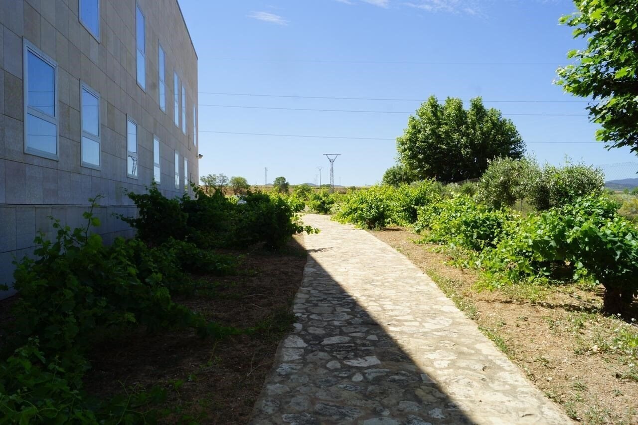 Zdjęcia Del Vino 3*