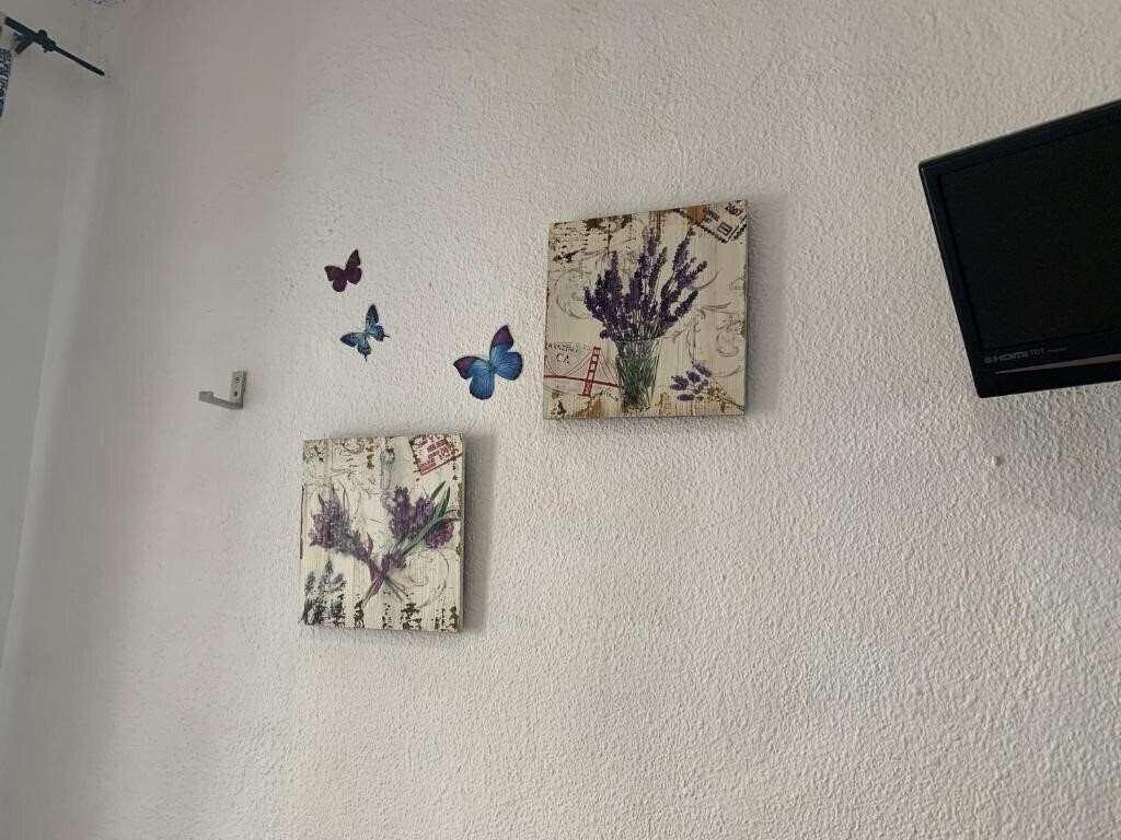 Zdjęcia Pension La Giraldilla 1*