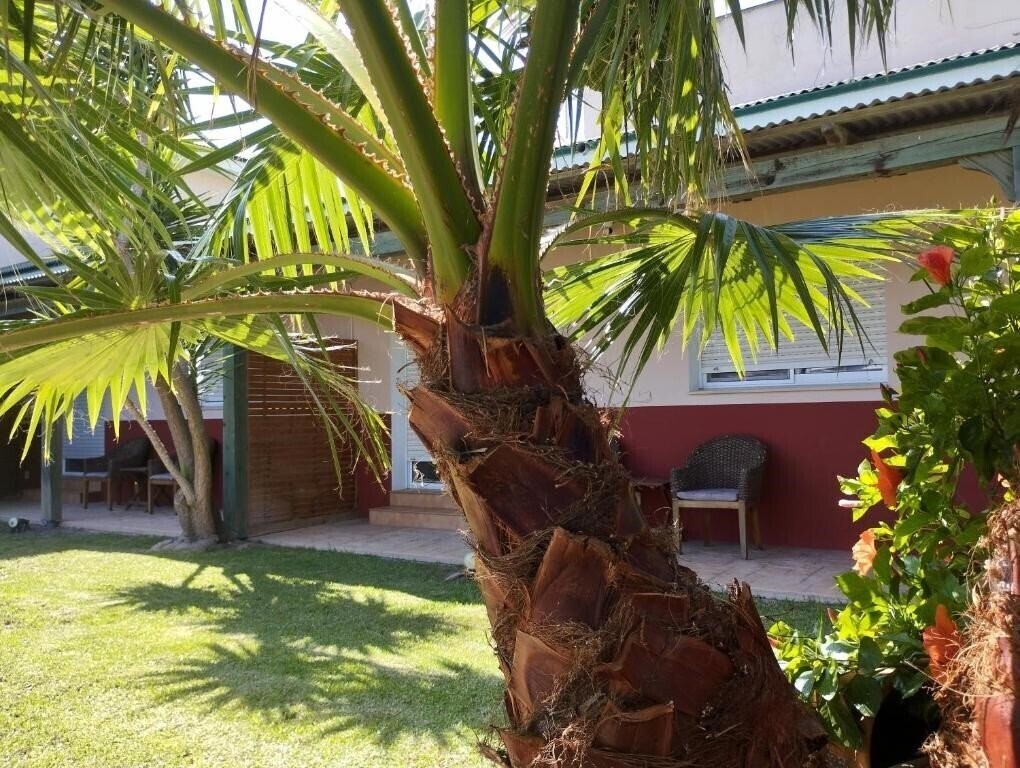 Отель Casablanca El Petit Hotel 3*