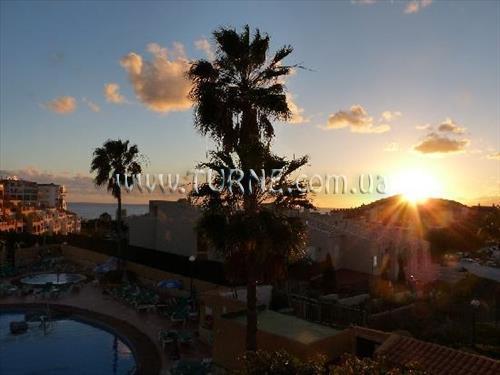 Zdjęcie Oasis Mango 3*