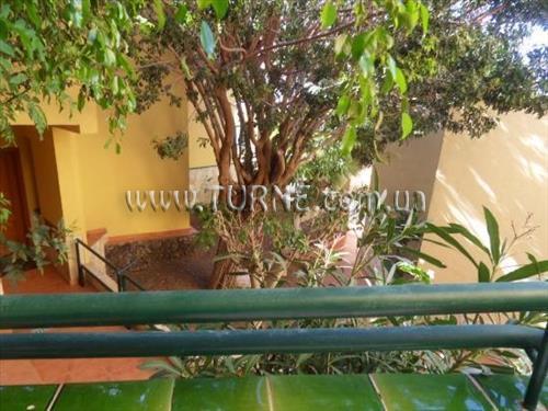 Obraz Oasis Mango 3*