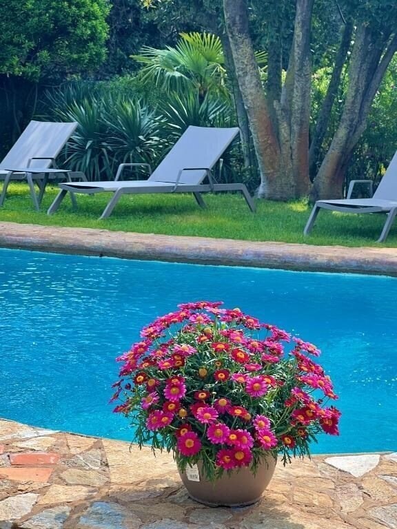 Готель Hotel Aatu 2*