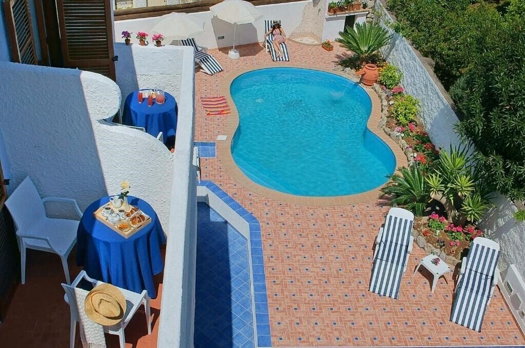 Изображение Iris 3*