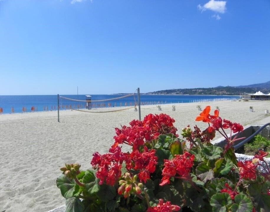 Фотографія Estella Club 4*