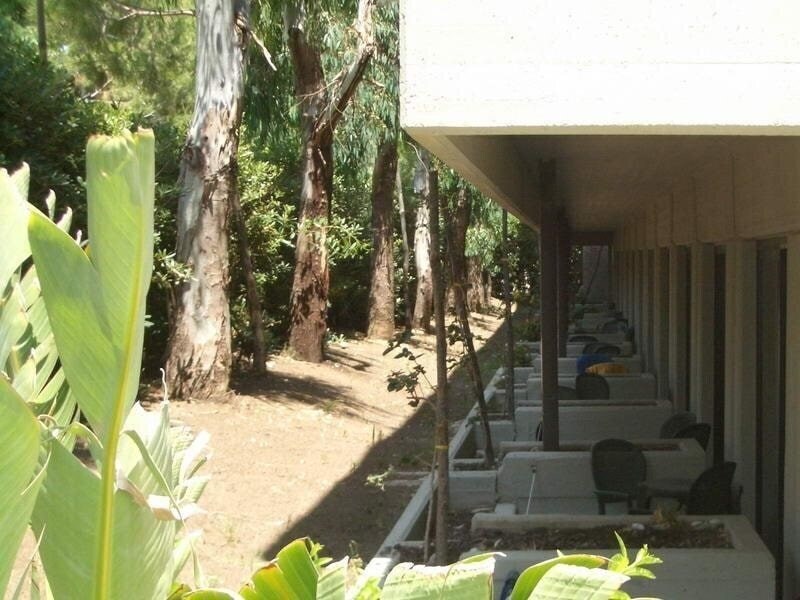 Картинка Fiesta Garden Beach 4*