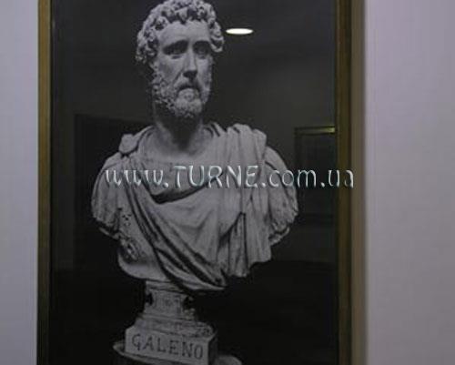 Отель Galeno 2*