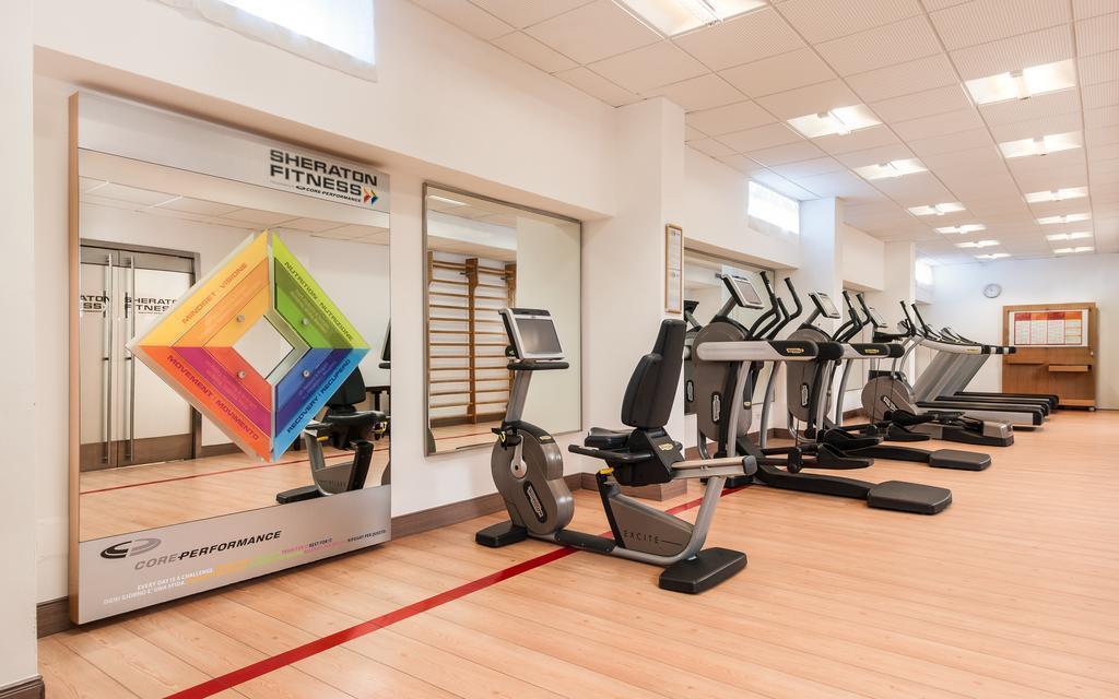 Obraz Sheraton Parco De' Medici Rome 4*