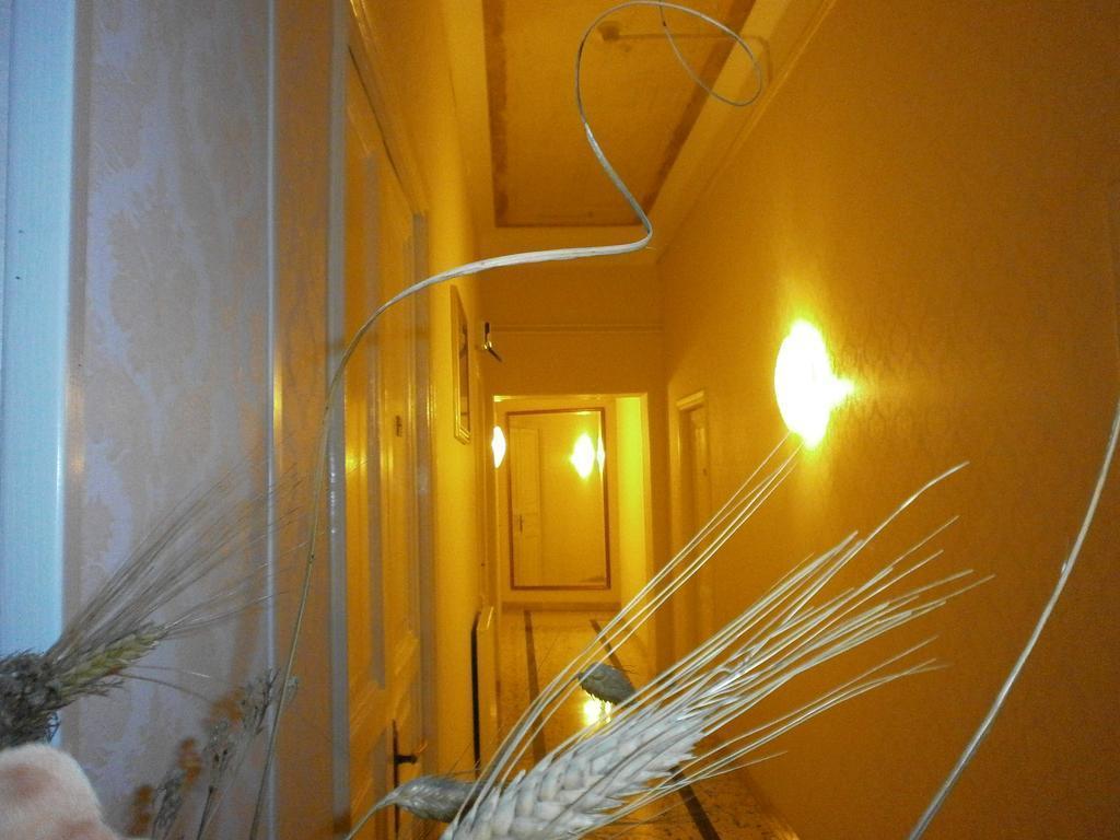 Фотография Hotel Texas 2*