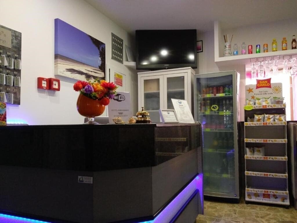 Obraz Hotel Annamare (Rivabella) 3*