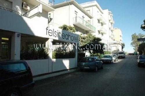 Готель Felsinea 3*