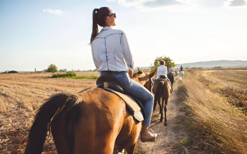 Фотография Abbadia Sicille 4*