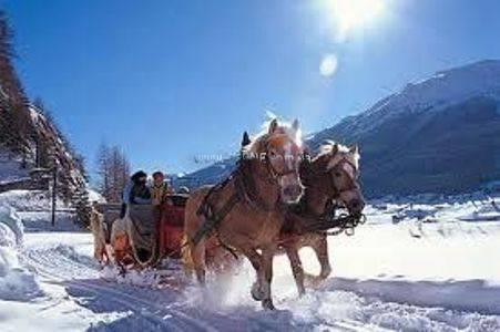 Фотография Cielo Blu 3*