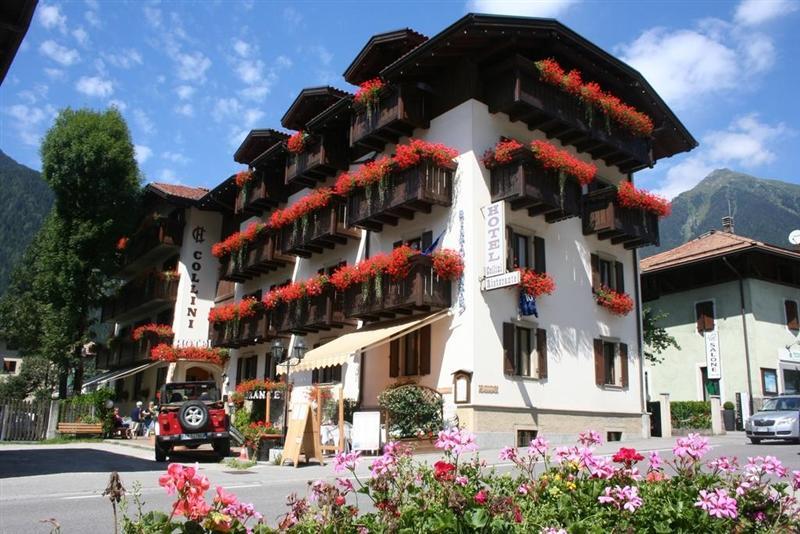 Zdjęcia Collini Hotel 3*