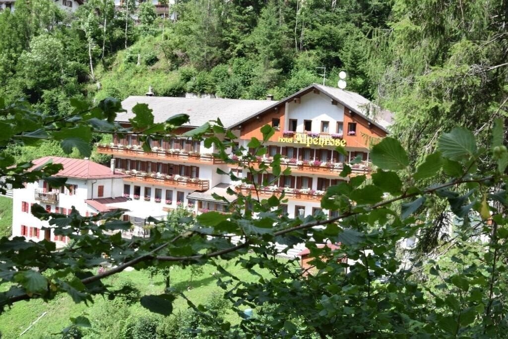 Hotel Alpenrose (Alleghe) 3*