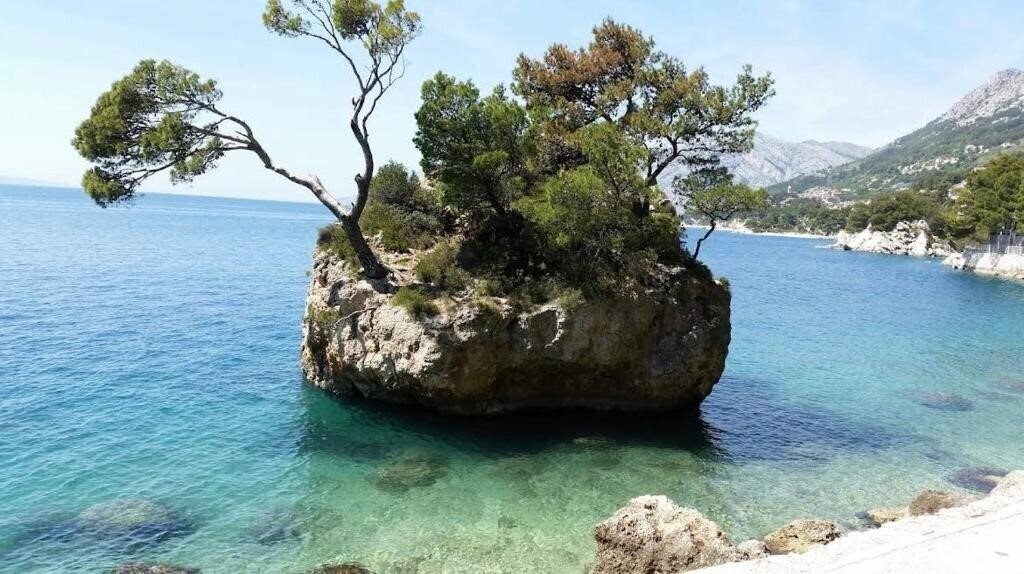 Фотографія App Mario Brela 3*