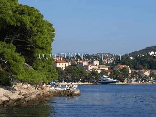 Obraz Albatros Hotel 4*