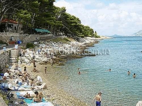 Zdjęcie Albatros Hotel 4*