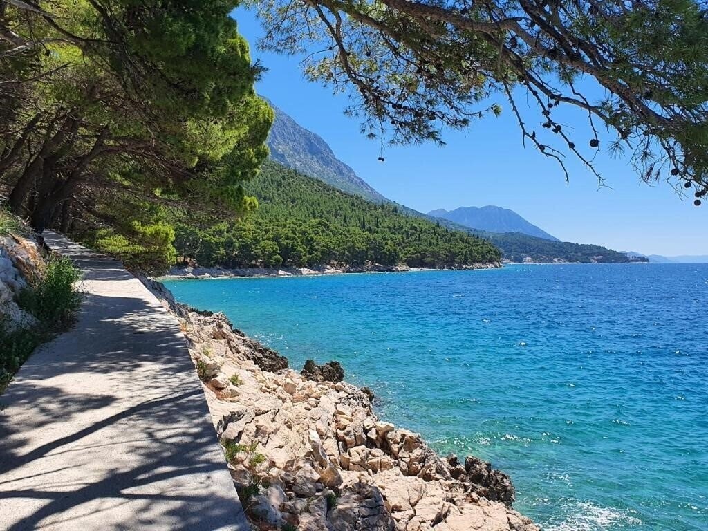 Картинка Hotel Ivando 4*