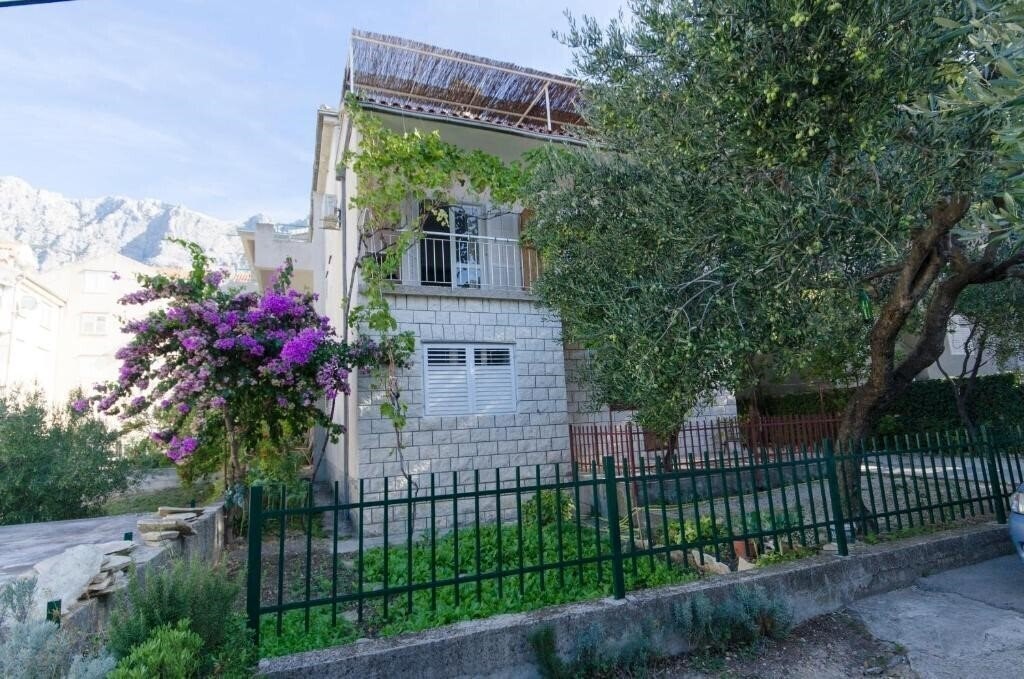 Отель App Jadro 3*