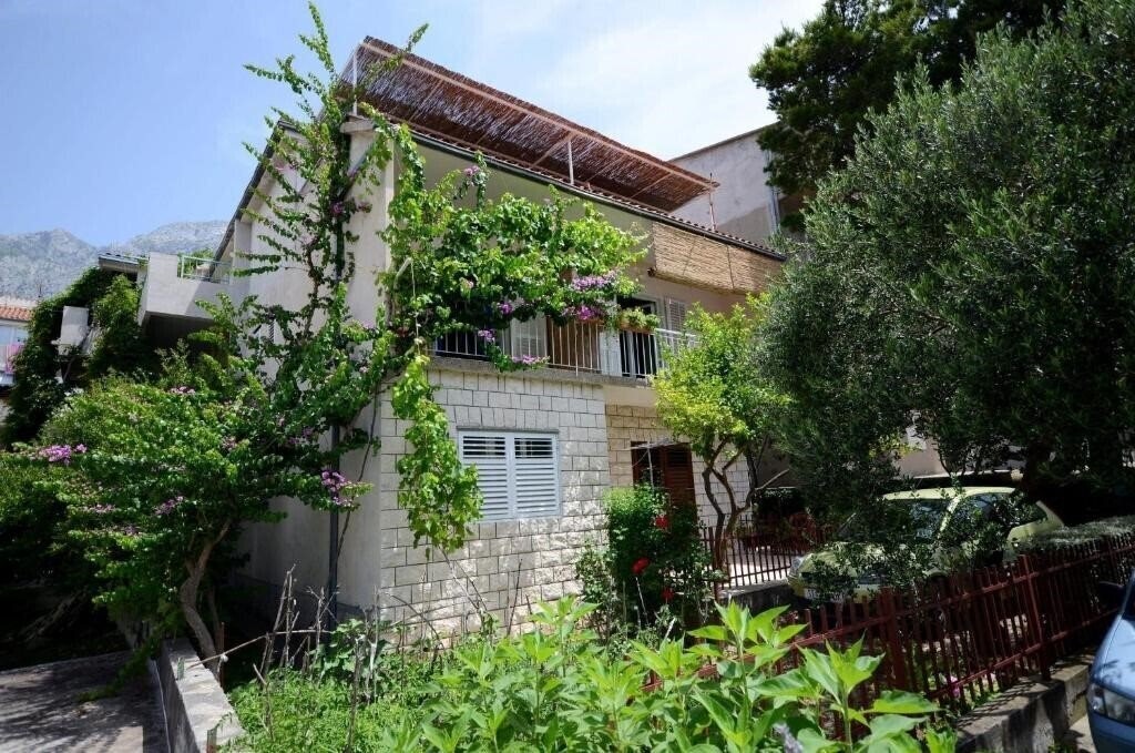 Картинка App Jadro 3*