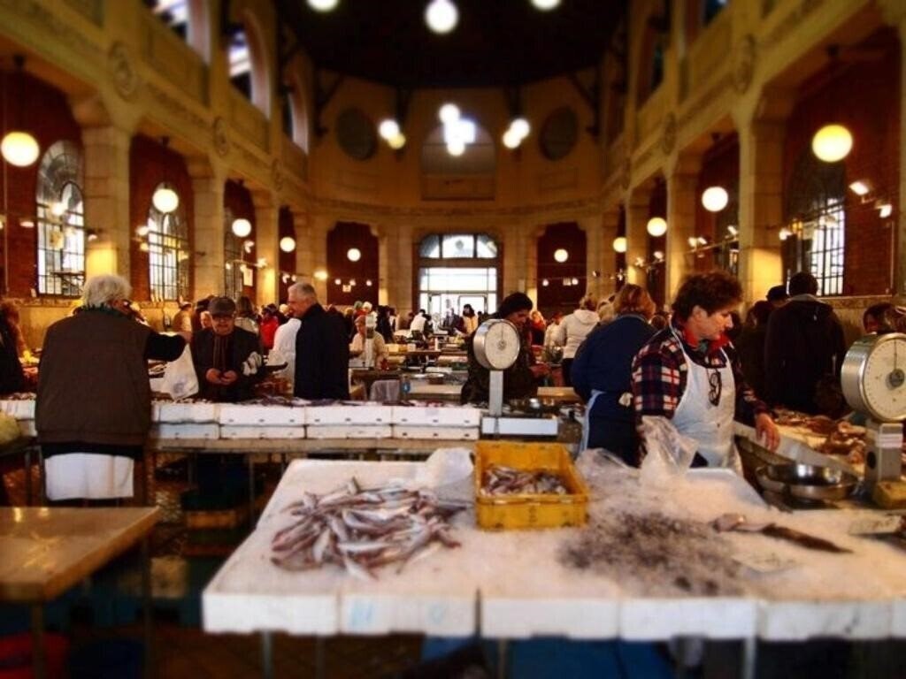 Zdjęcia App Greis 2*