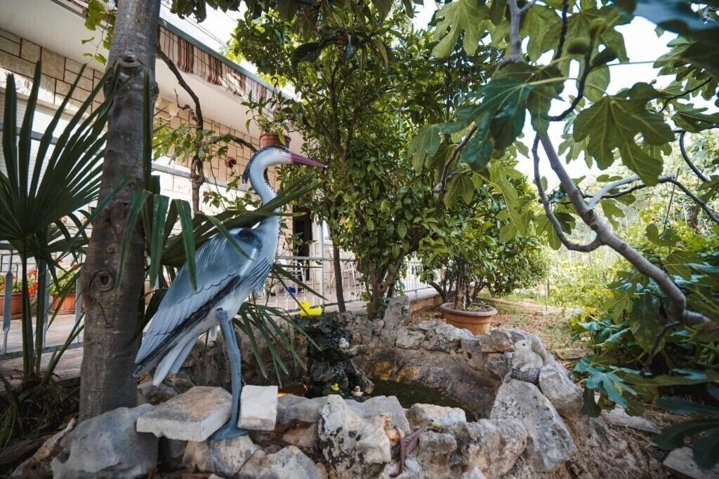 Фотографія App Ivan House апартаменты