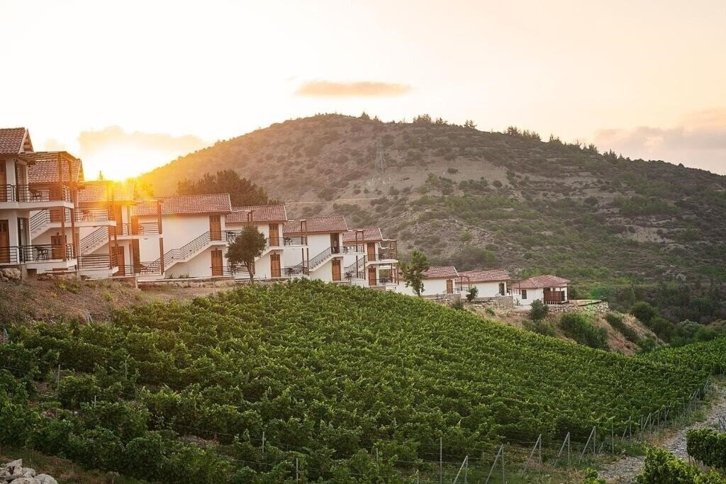 Готель Gillham Vineyard отель без категории