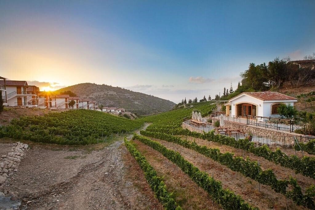 Зображення Gillham Vineyard отель без категории