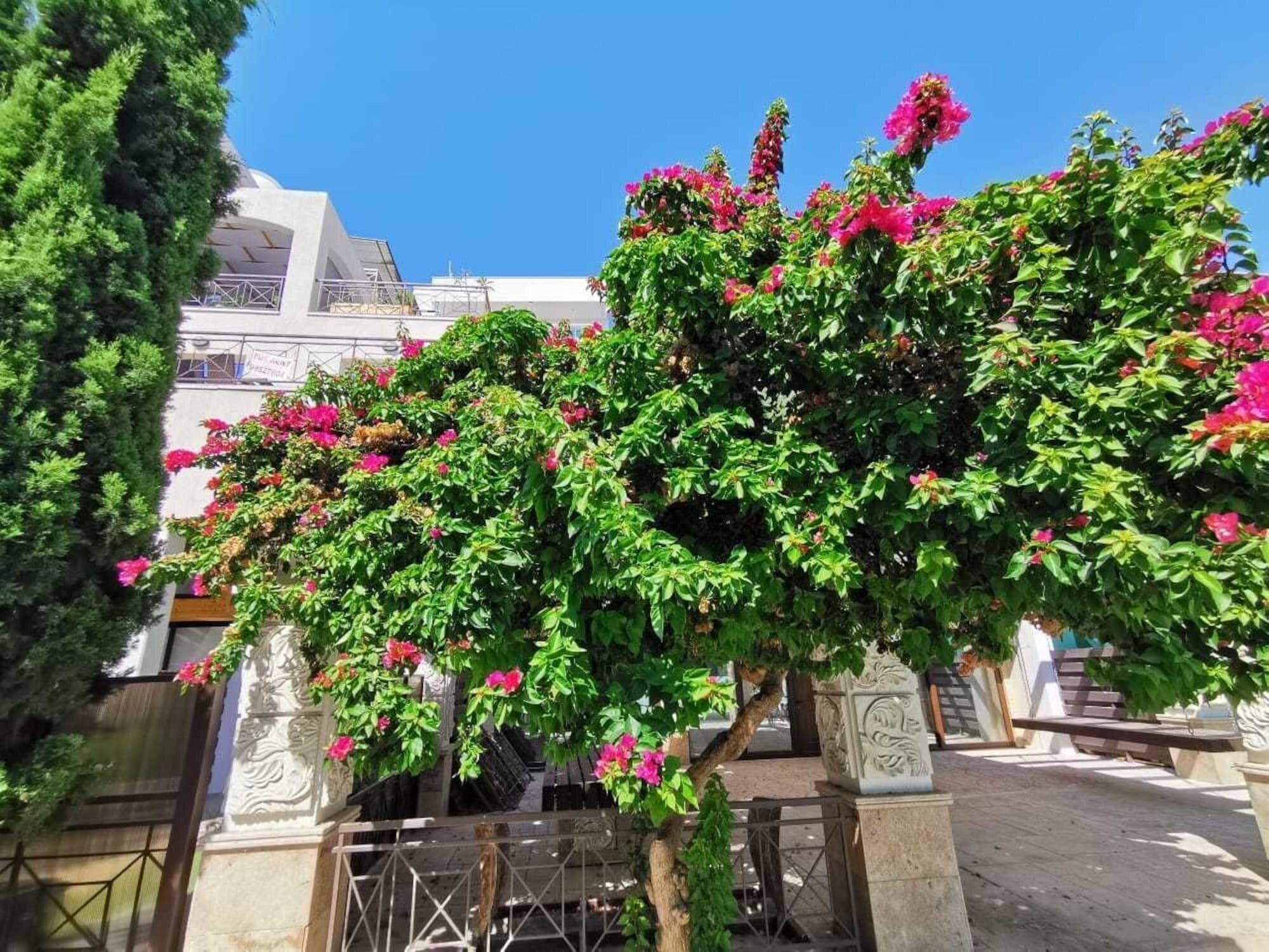 Obraz V.I.P. Galatex 3*