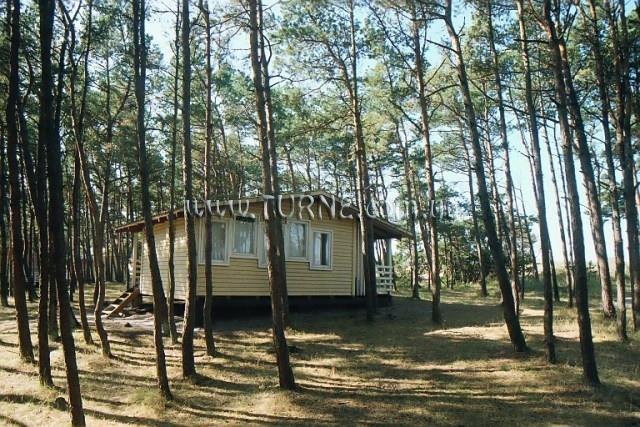 Фотография Energetikas 4*