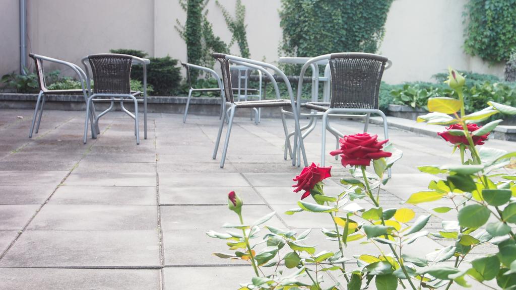 Zdjęcie Telecom Guest 3*