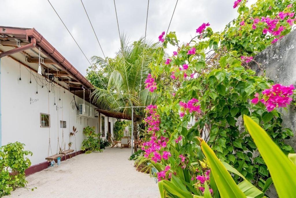 Obraz Casa Paguro Bodufolhudhoo 3*