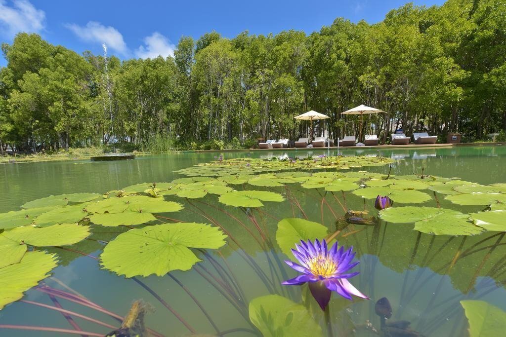 Фотография Dreamland Resort & Spa 4*