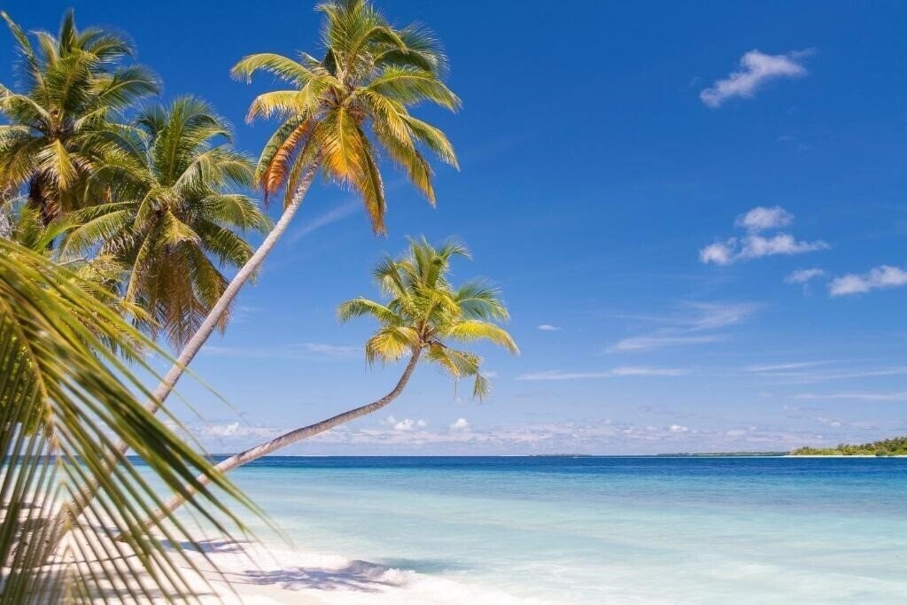 Zdjęcie Dhonfulhafi Beach View & Spa Guest House гостиный двор