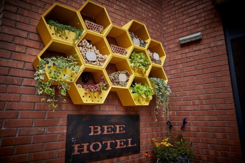 Картинка Fushifaru Maldives 5*