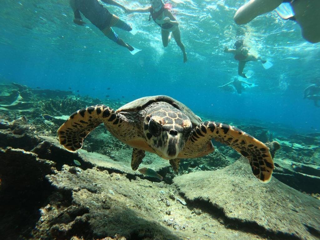 Zdjęcie White Sand Lodge Guest House 1*