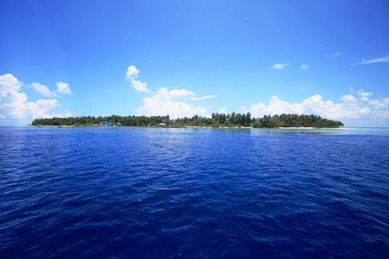 Зображення Plumeria Boutique Guest House 4*