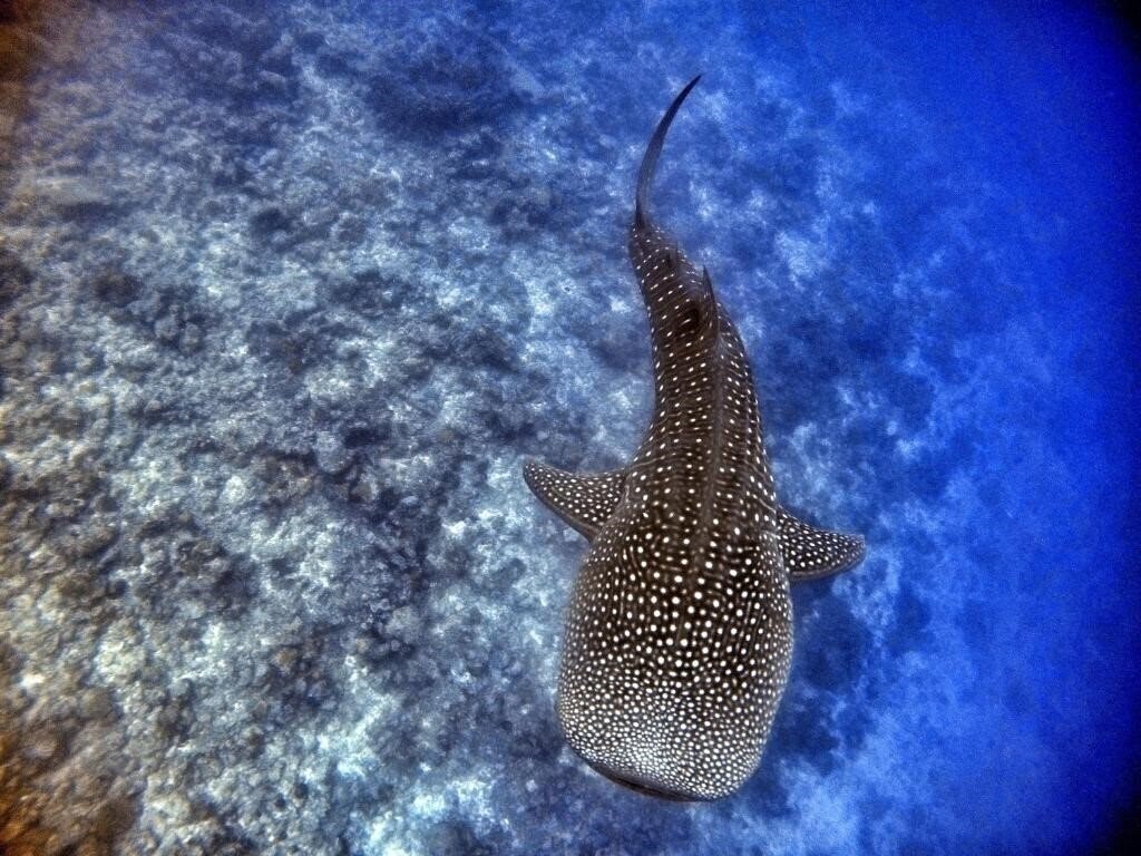 Zdjęcie Athiri Beach 3*