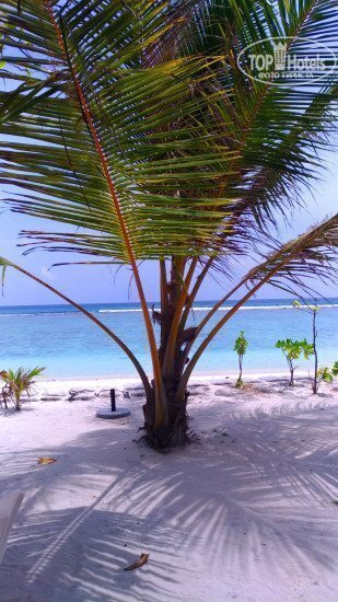 Фотографія Seasun Beach Hotel Guest House 3*