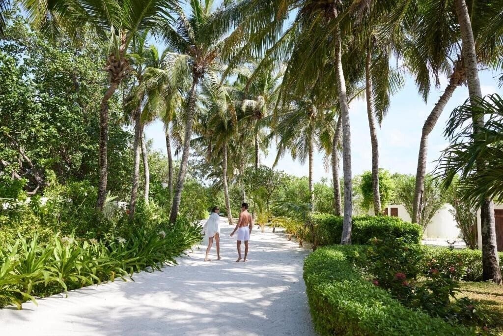 Obraz Centara Ras Fushi Resort & SPA 4*
