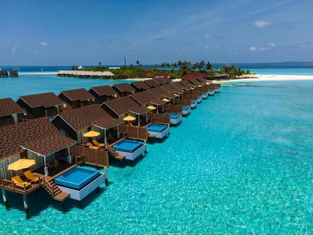 Картинка Dhigufaru Island Resort 5*