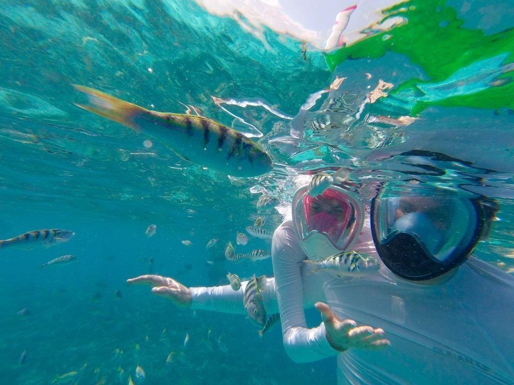 Hotel Palm Lodge Guest House 1*